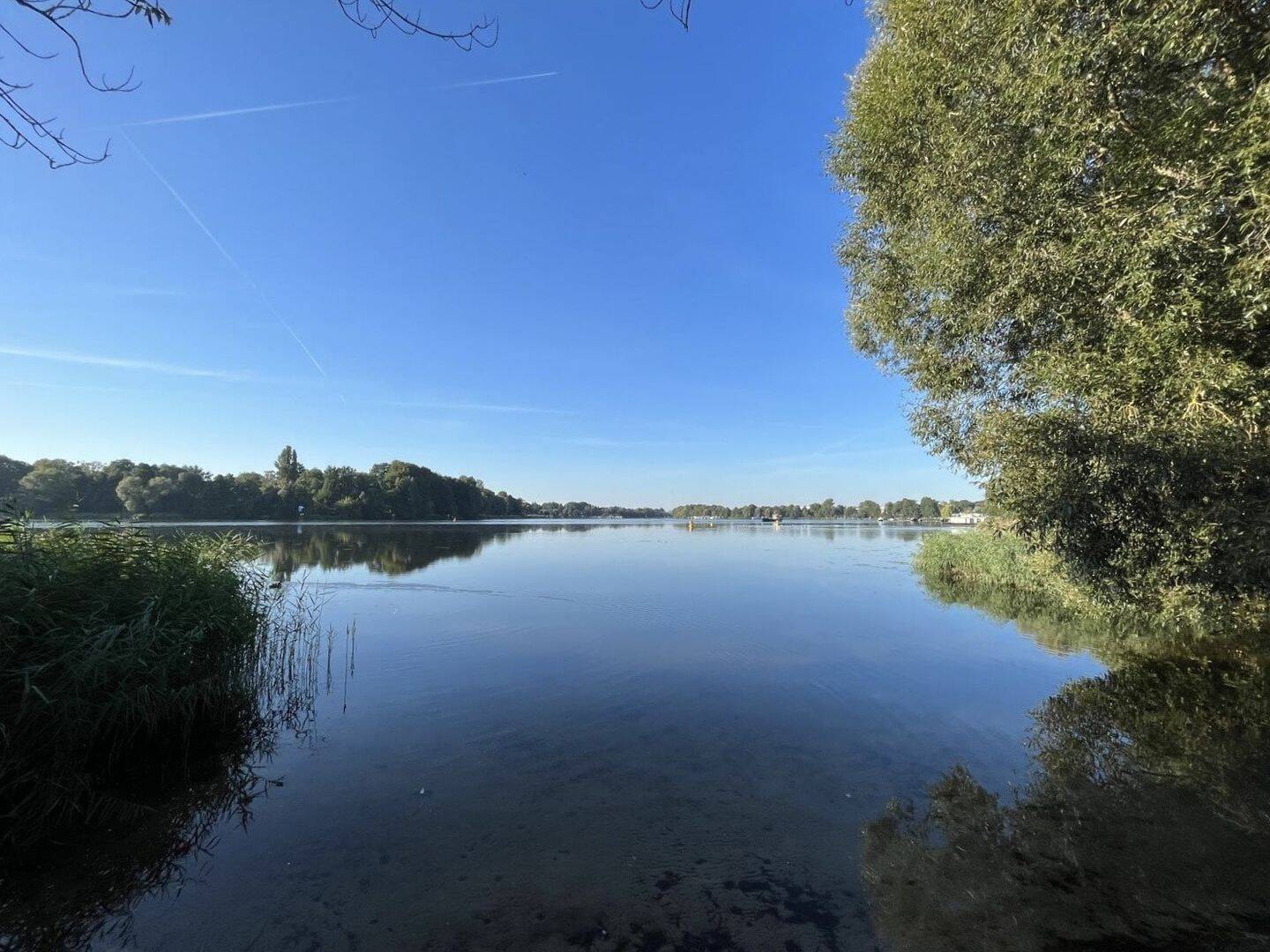 Bild 17
