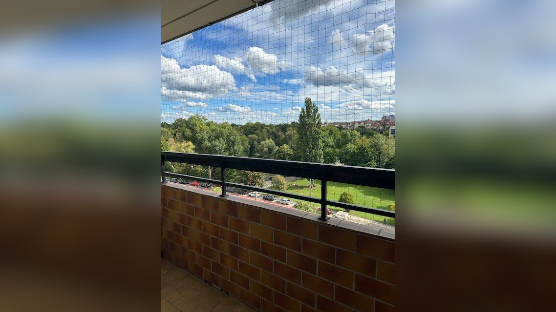 Bild 14