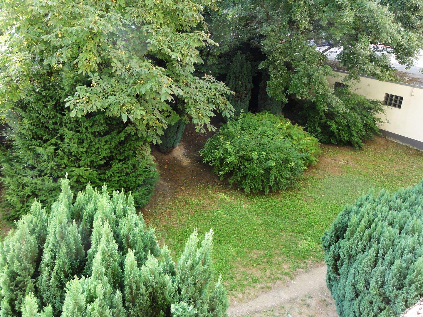 Bild 7