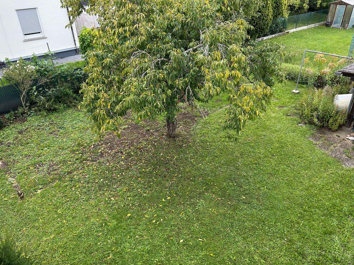 Bild 7