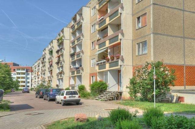 Bild 7