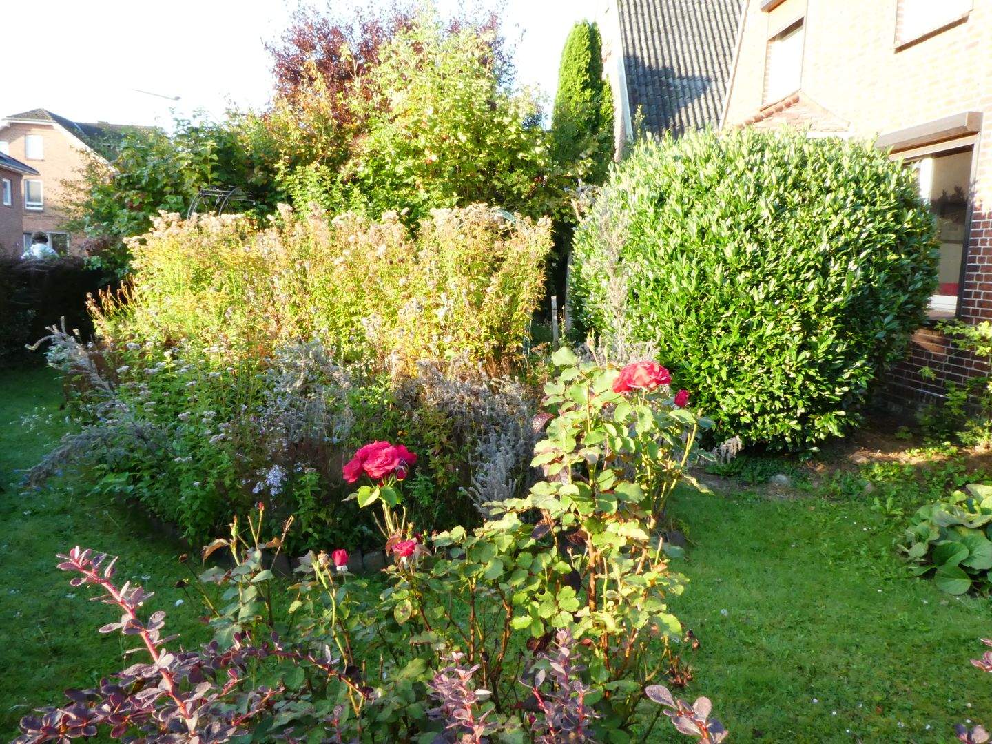 Bild 10