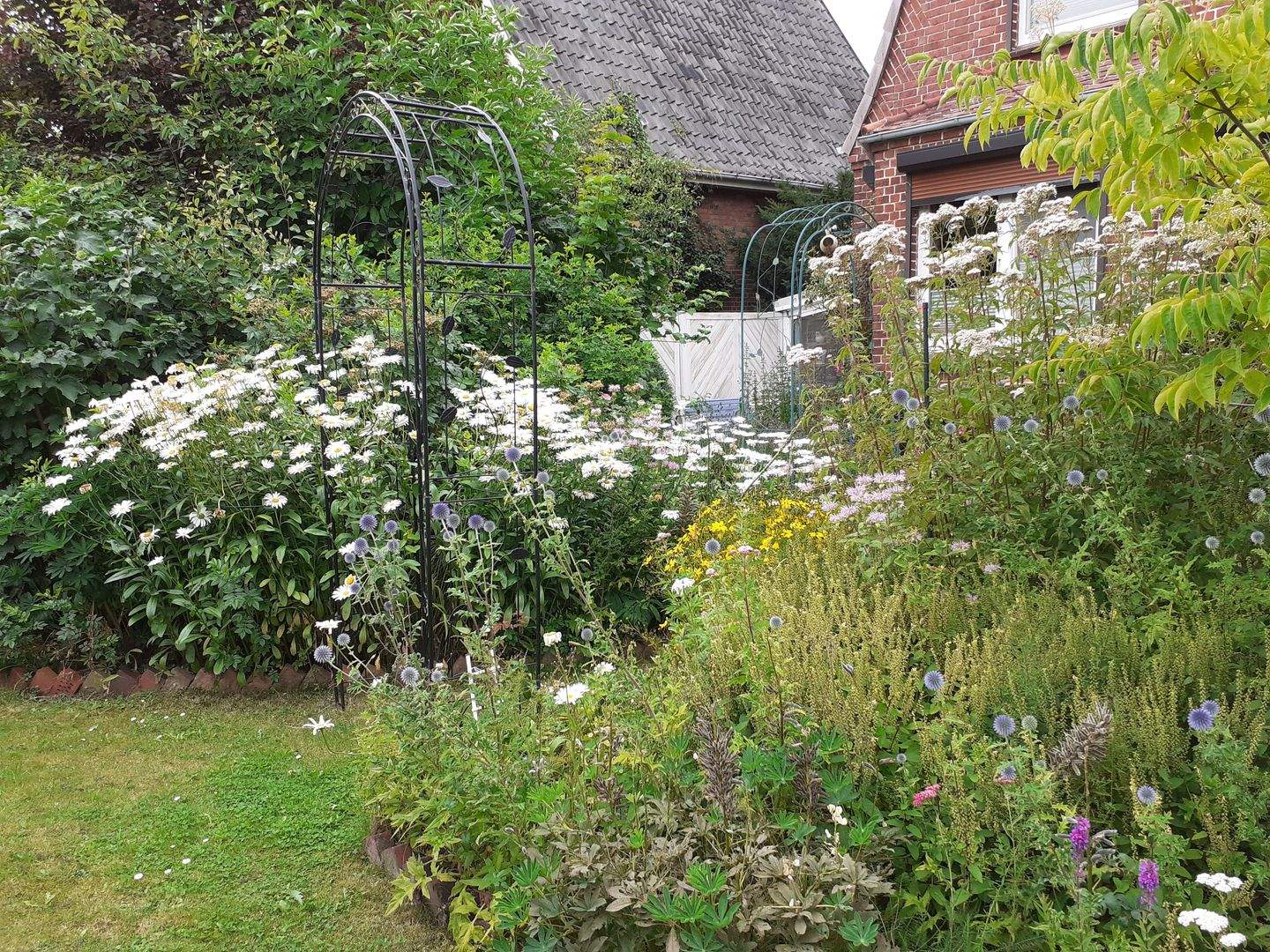 Bild 11