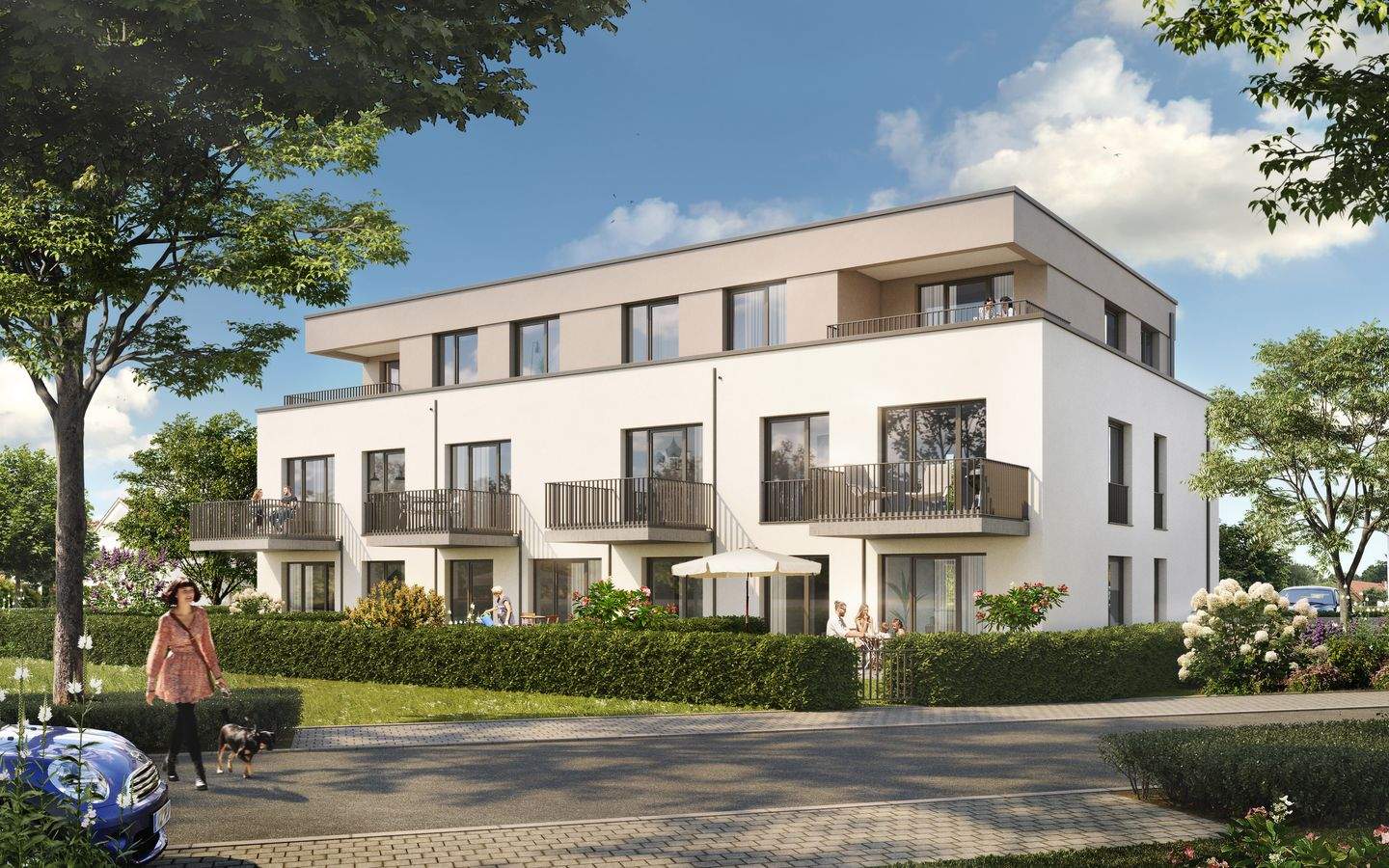 Bild 11