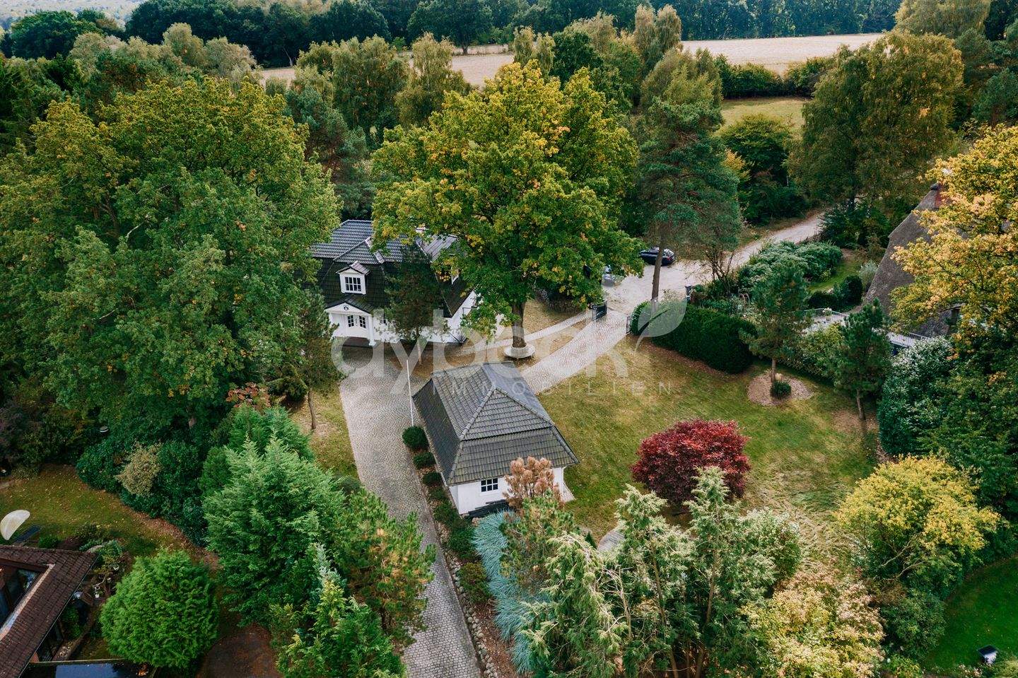 Bild 7