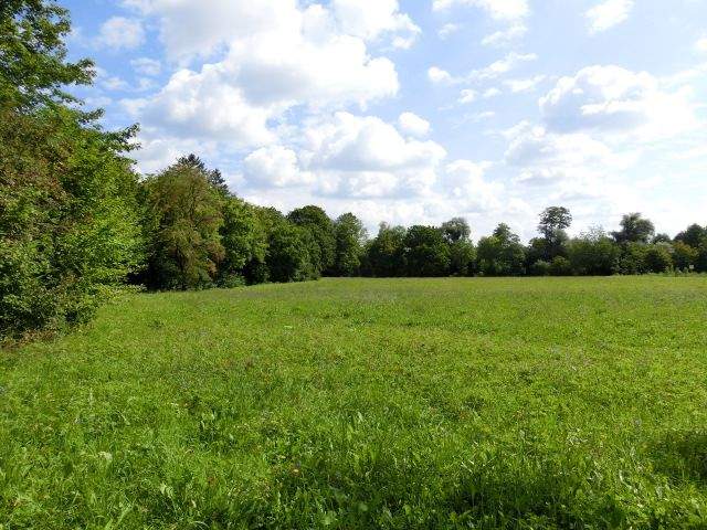Bild 16