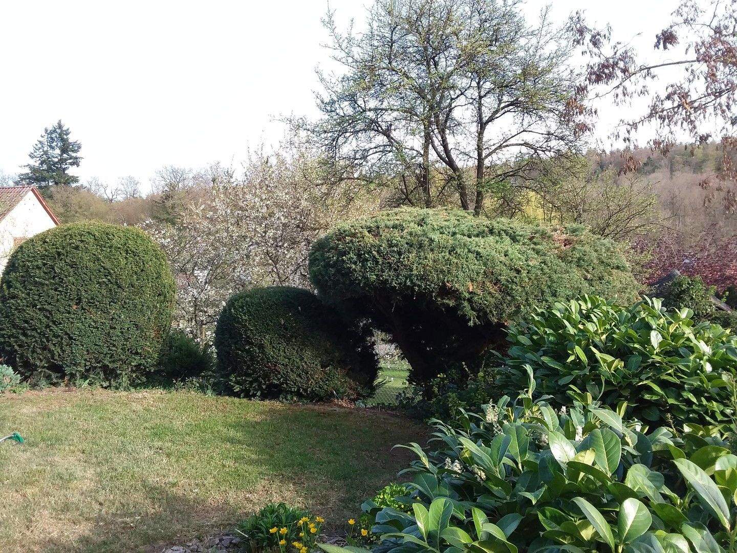 Bild 8