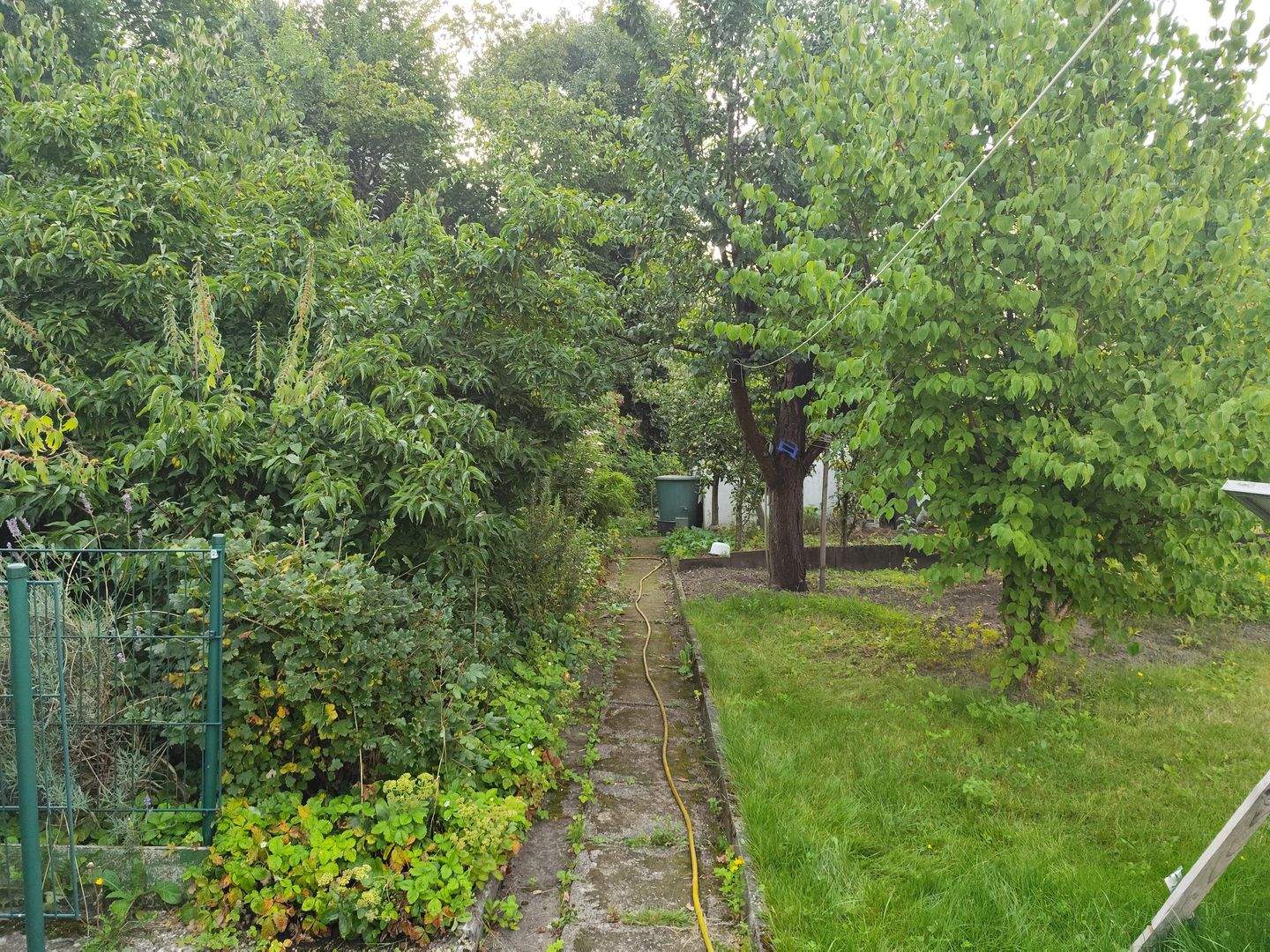 Bild 8