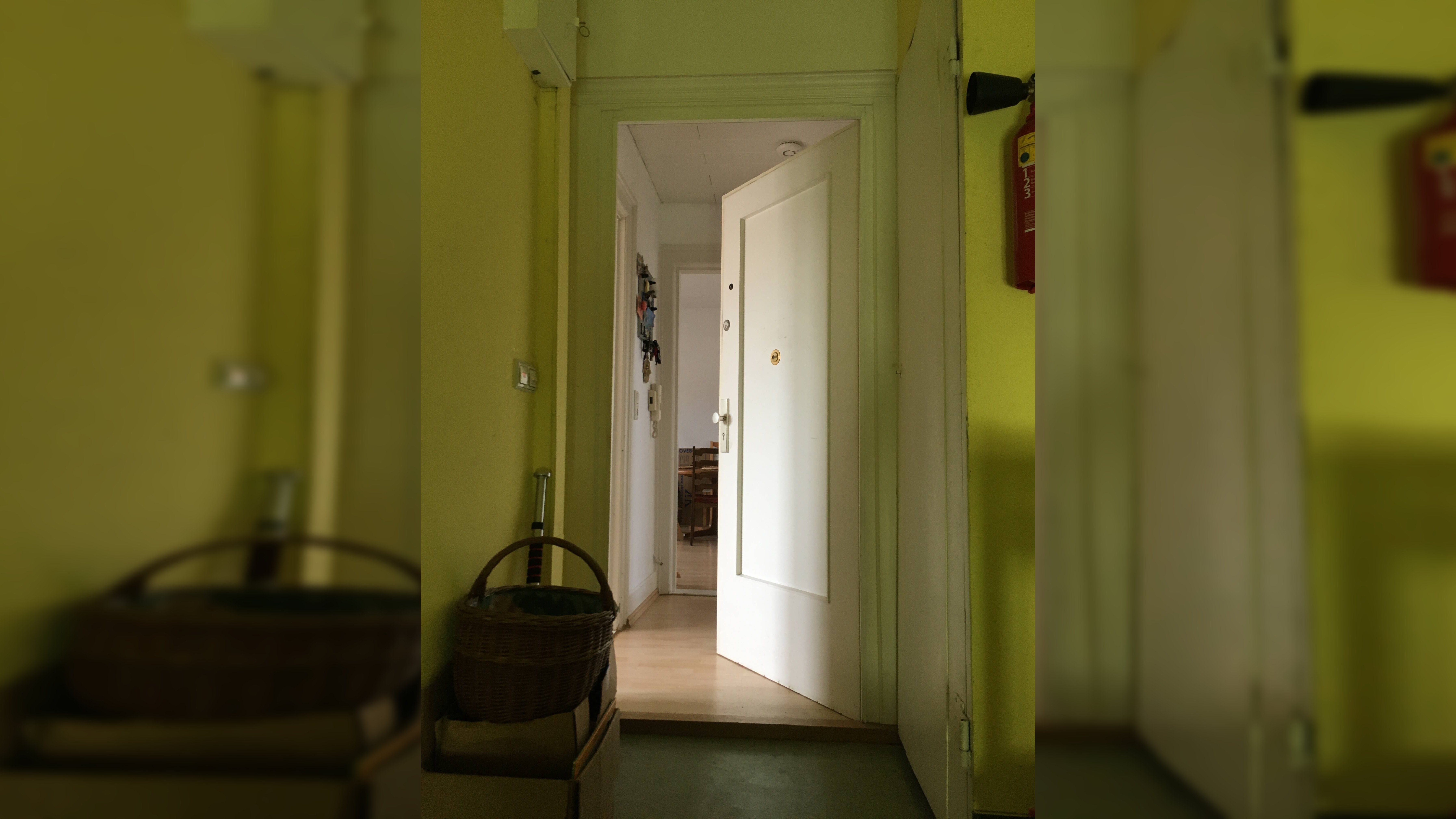 image-70093019