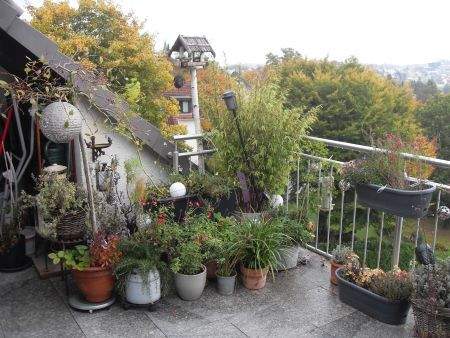 Bild 9