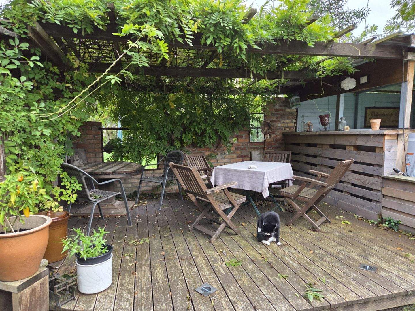 Bild 10