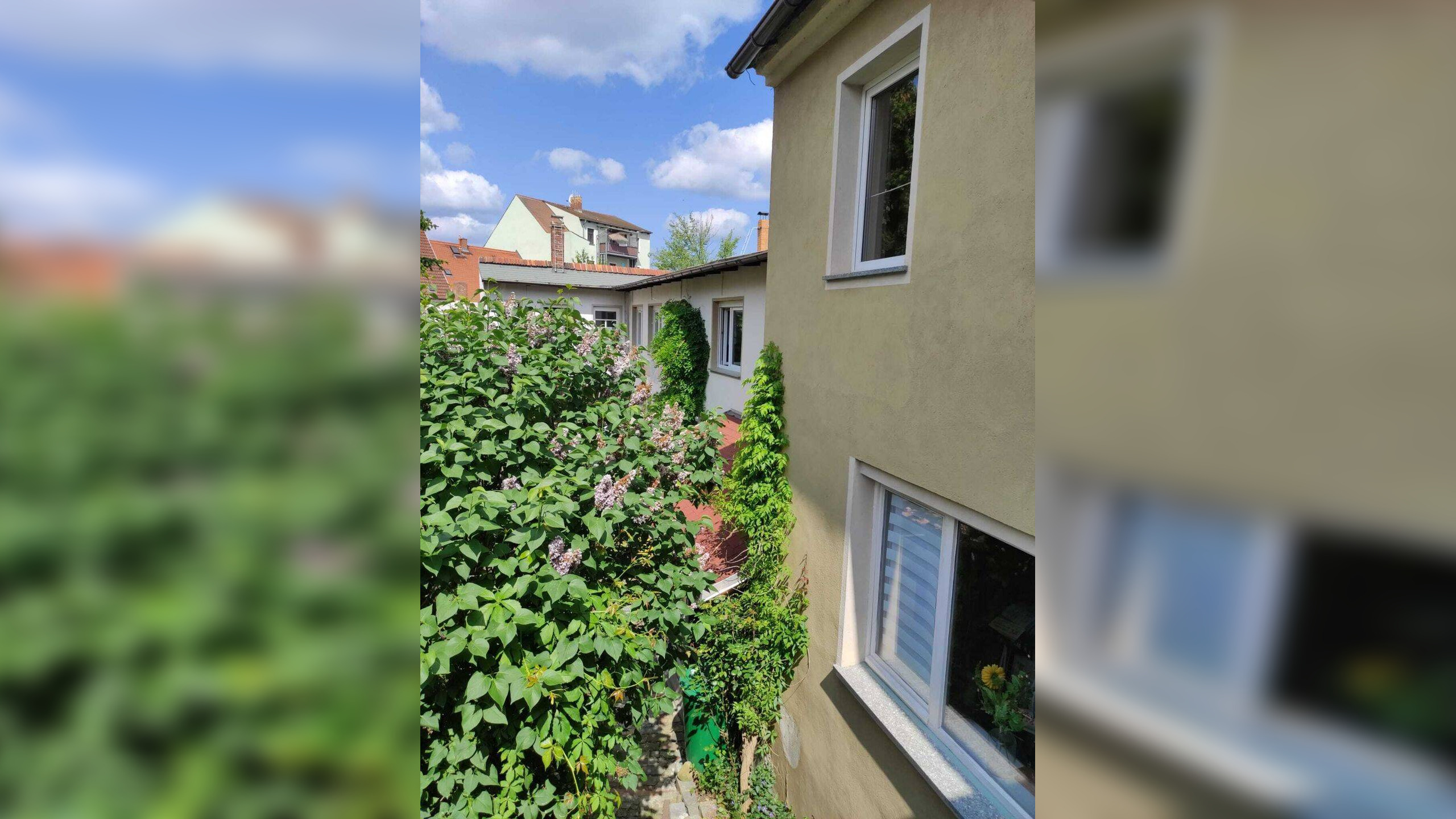 Bild 14