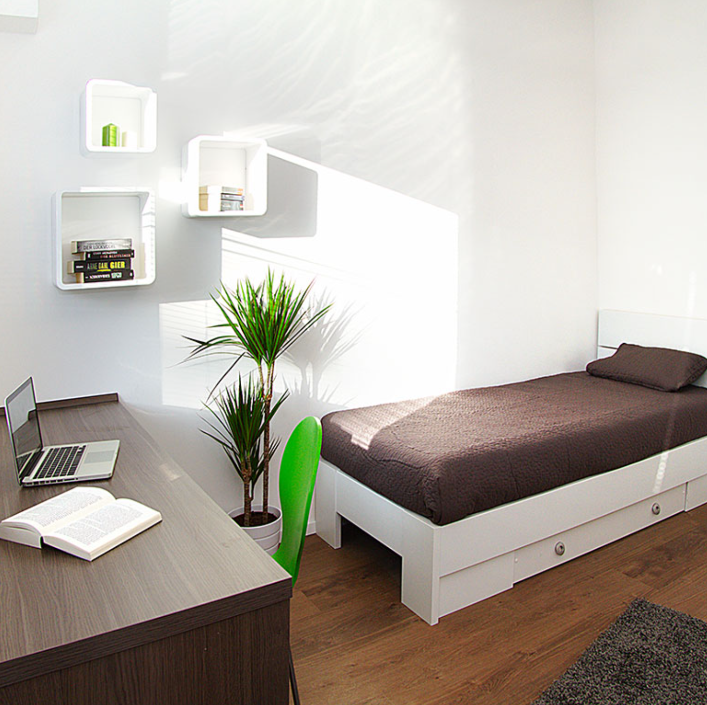 Bild 4