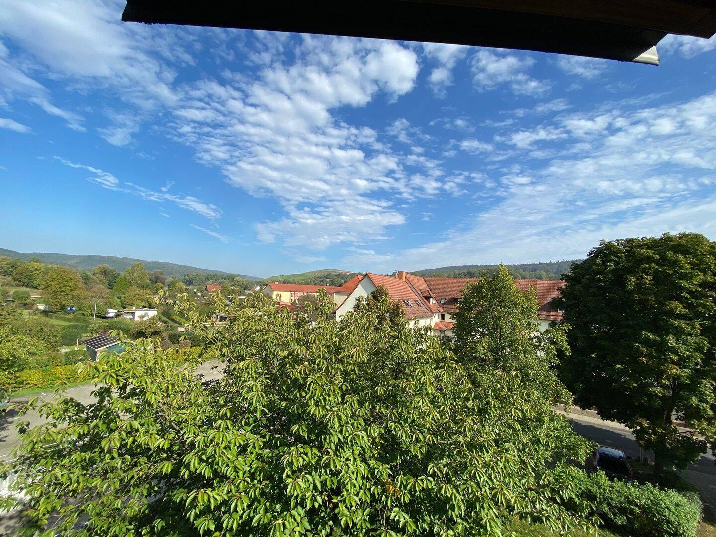 image-64651178