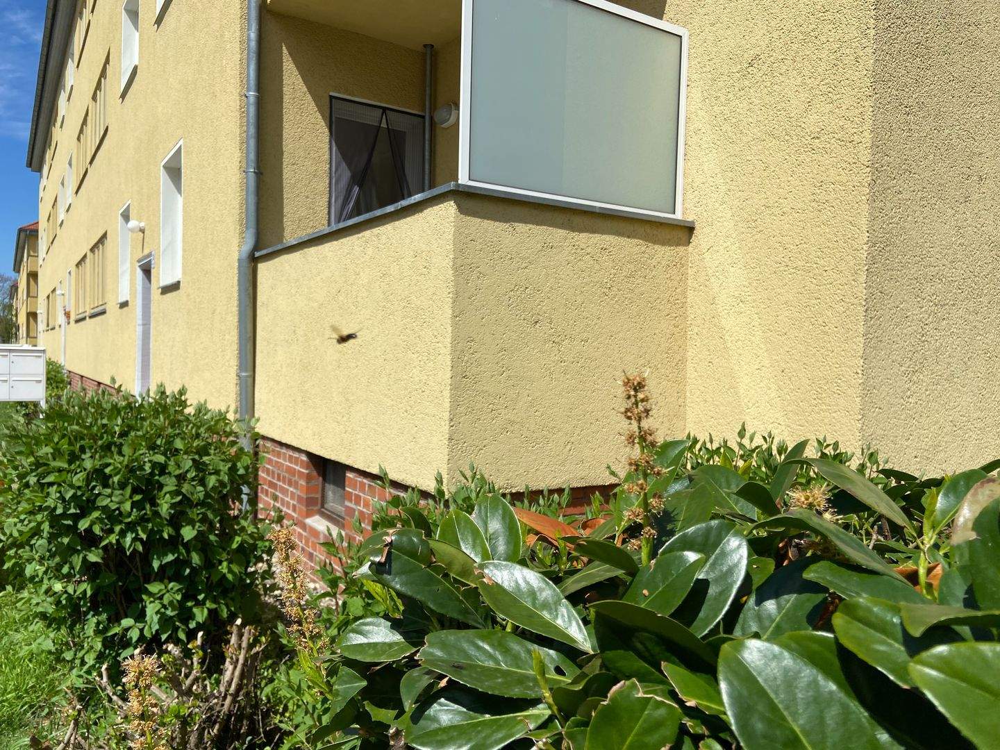 Bild 11