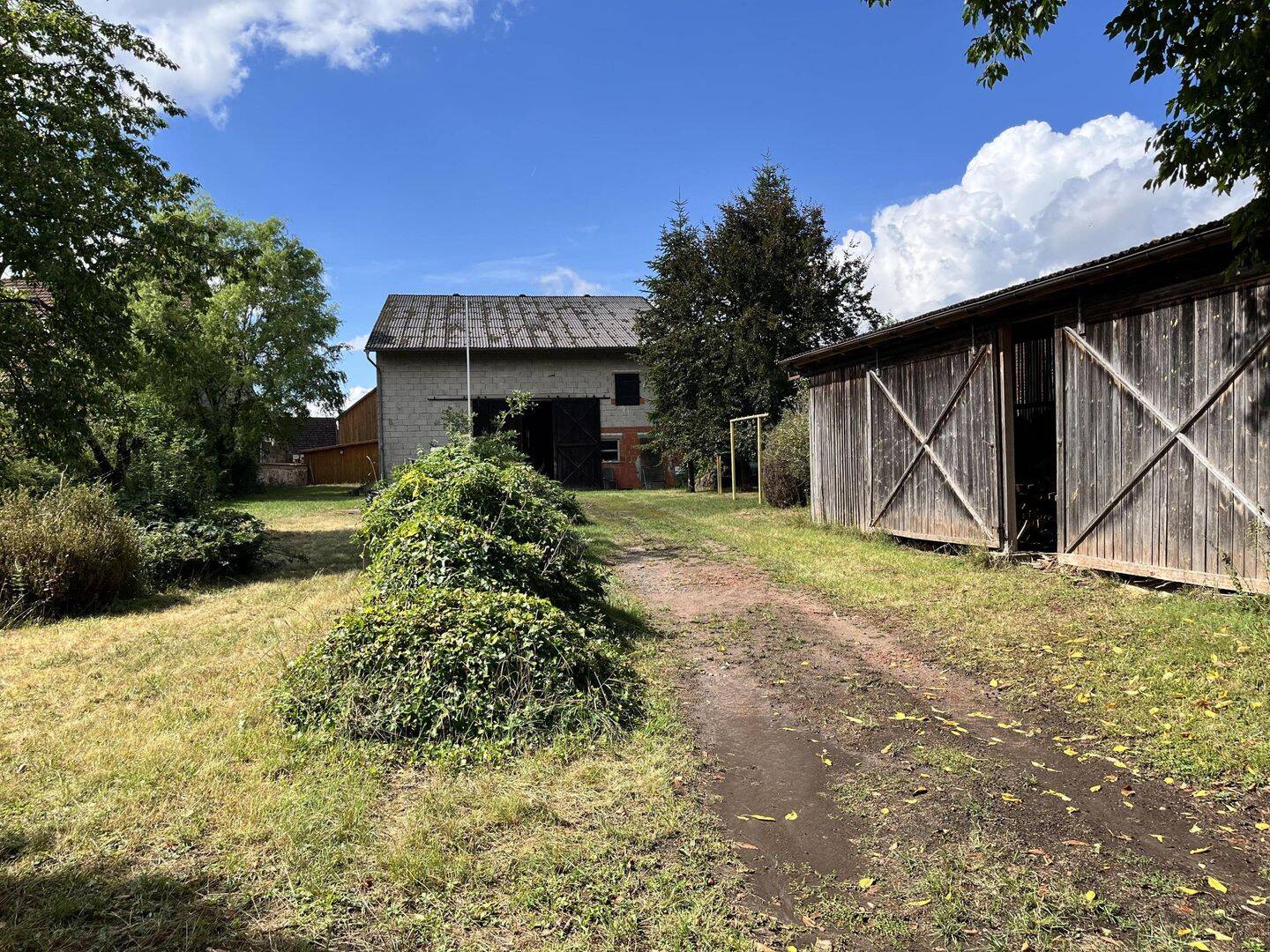 Bild 17