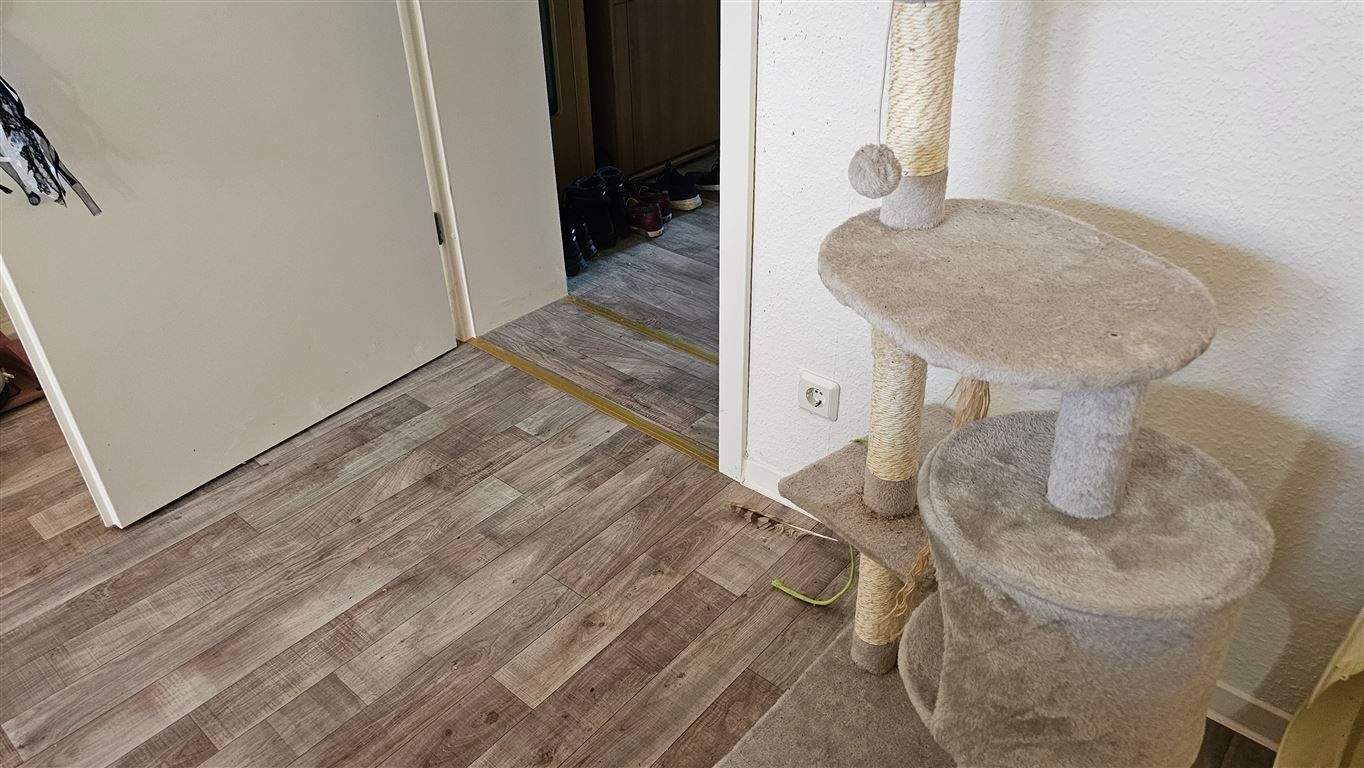 Bild 11