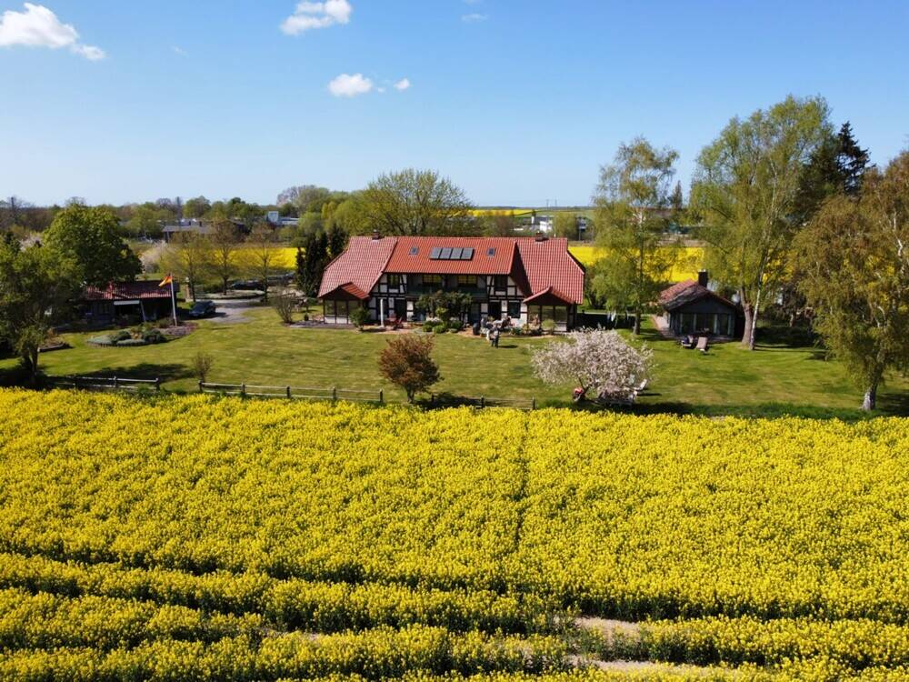Bild 12