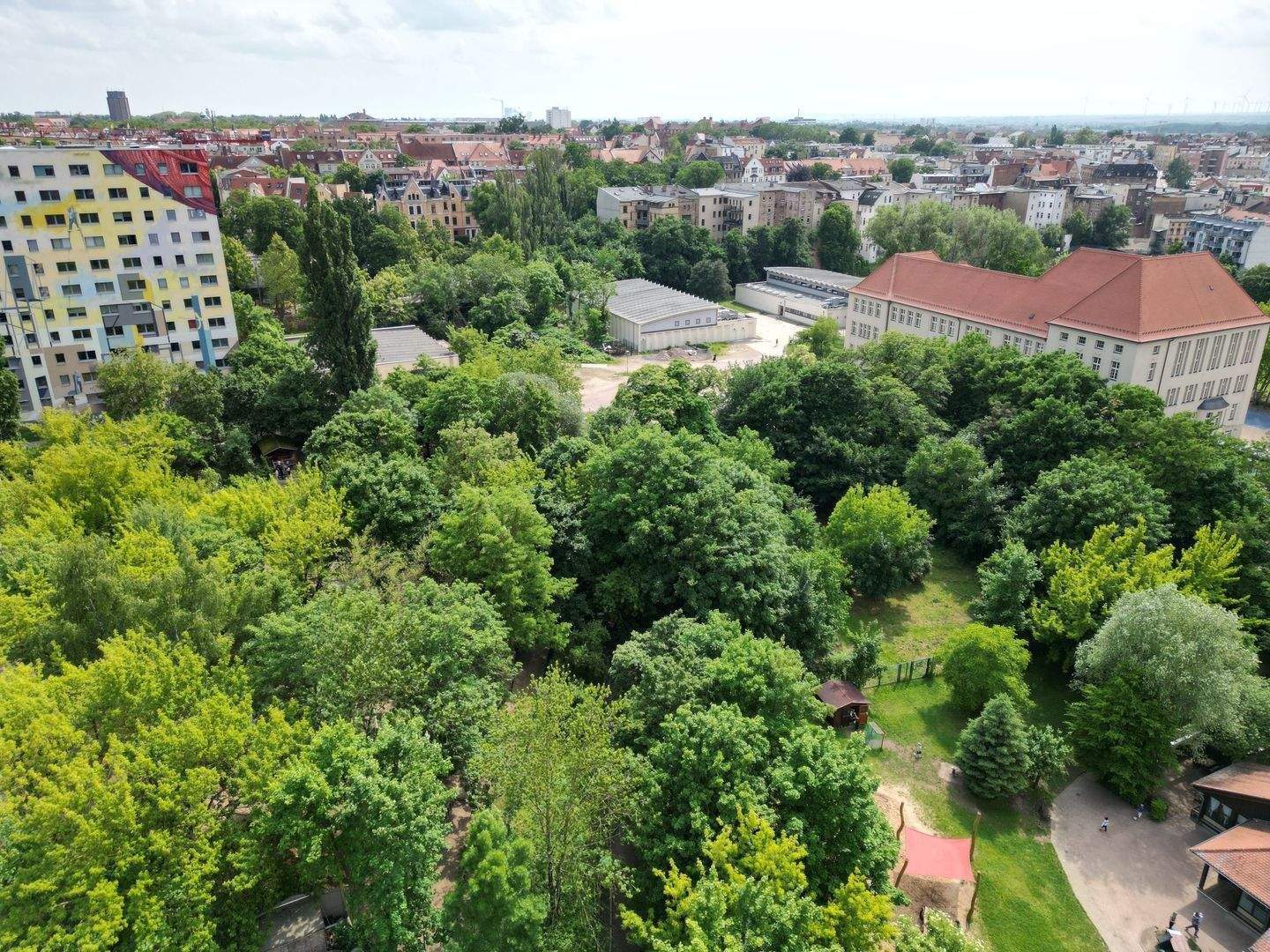 Bild 8