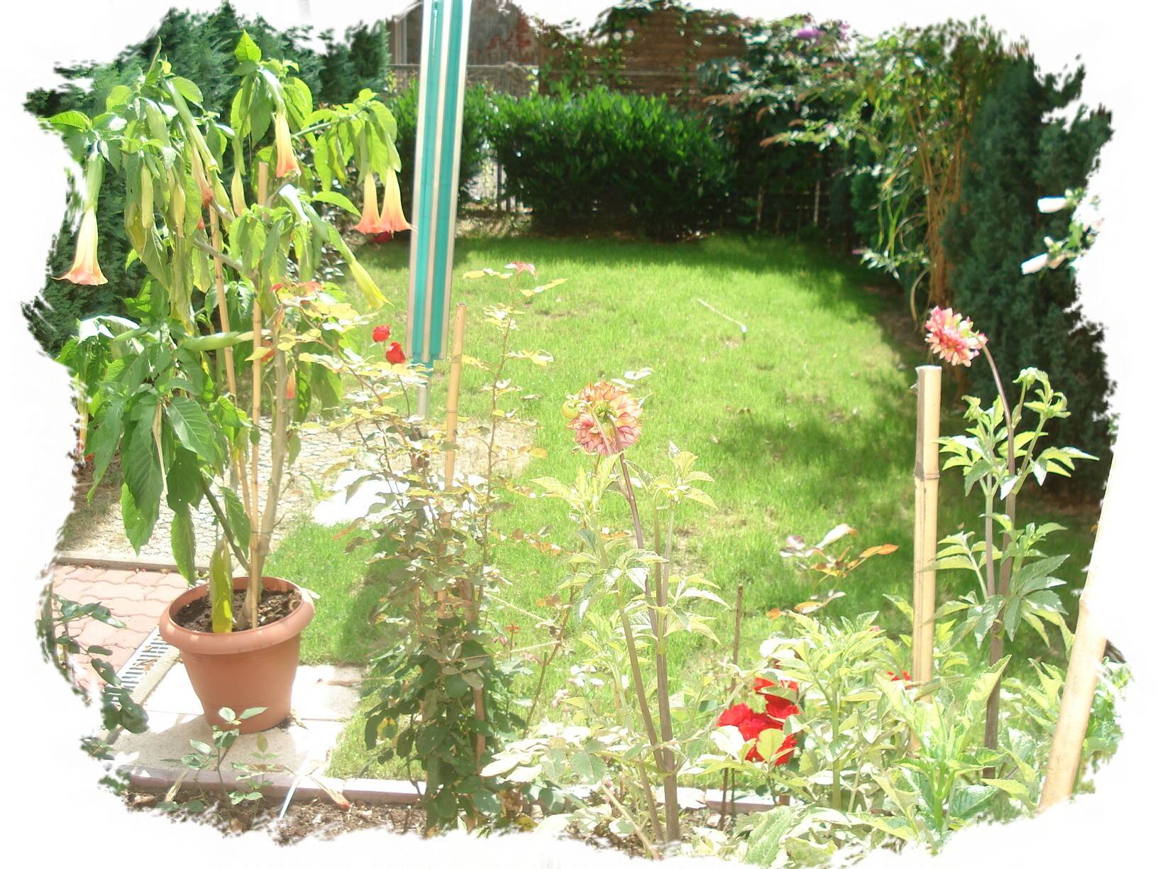 Bild 3