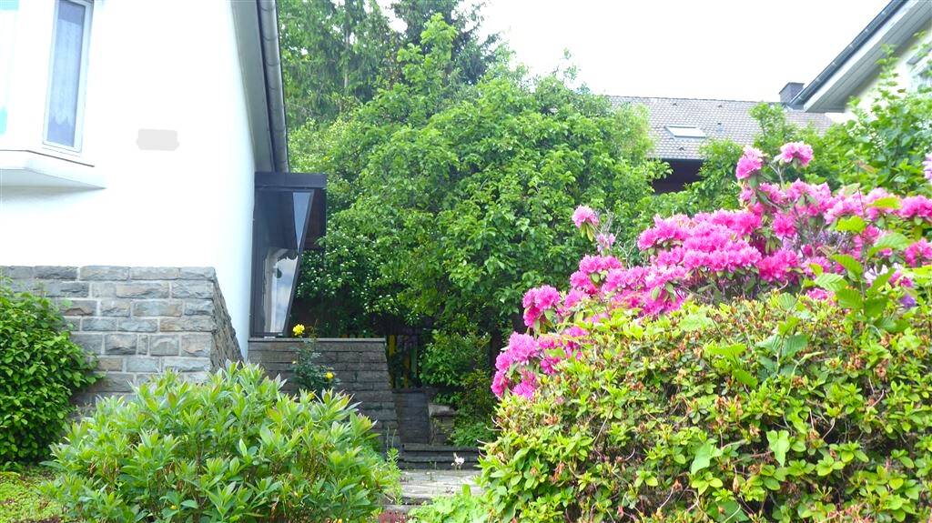 Bild 17