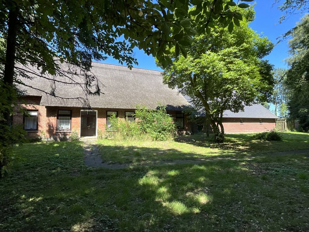 Bild 12