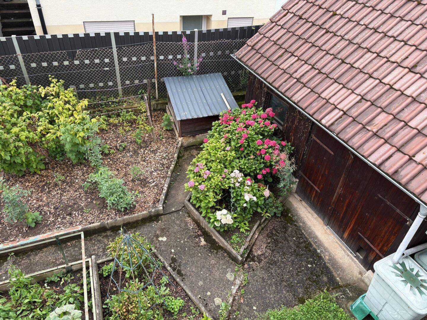 Bild 19