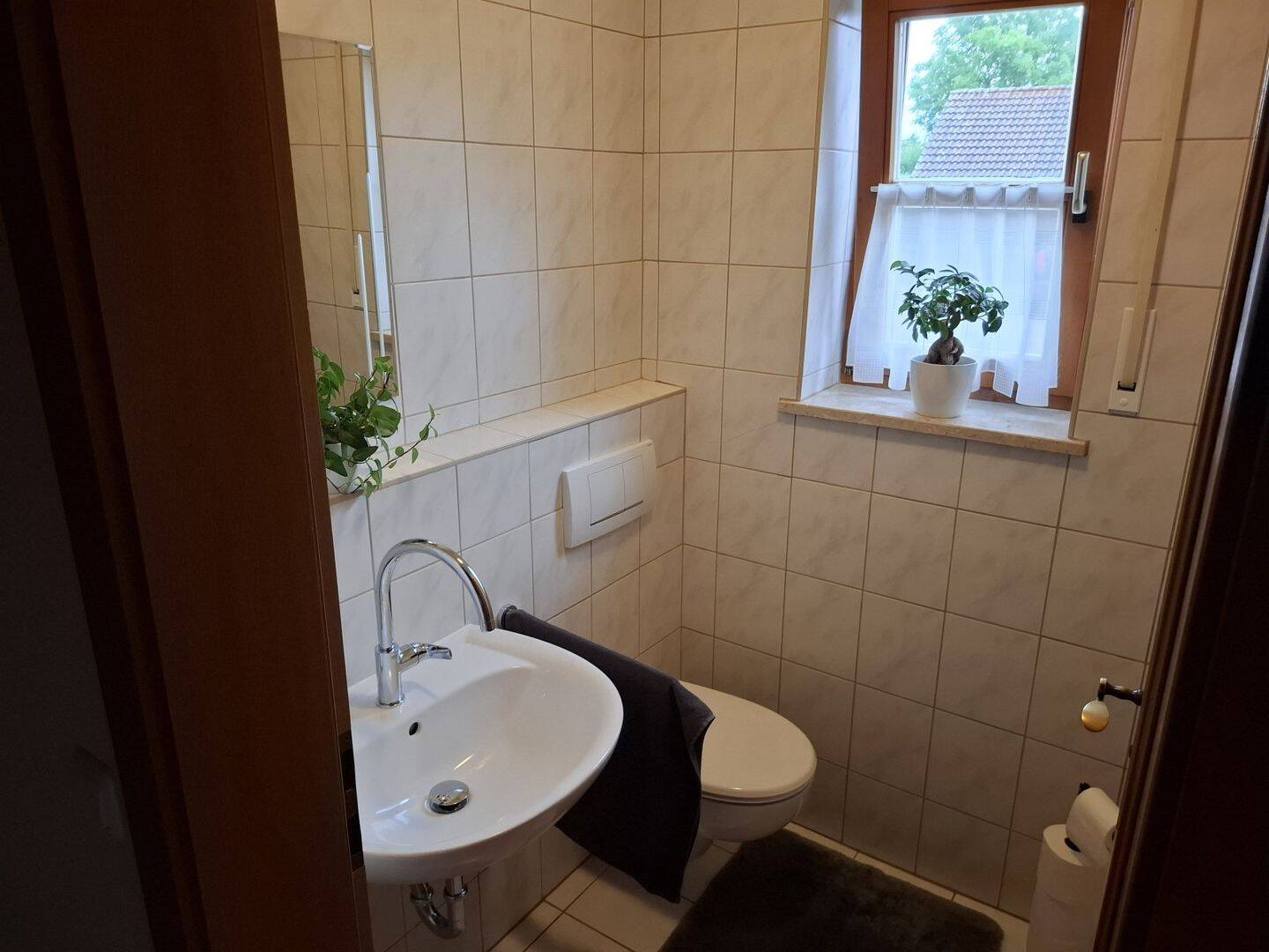 Bild 12