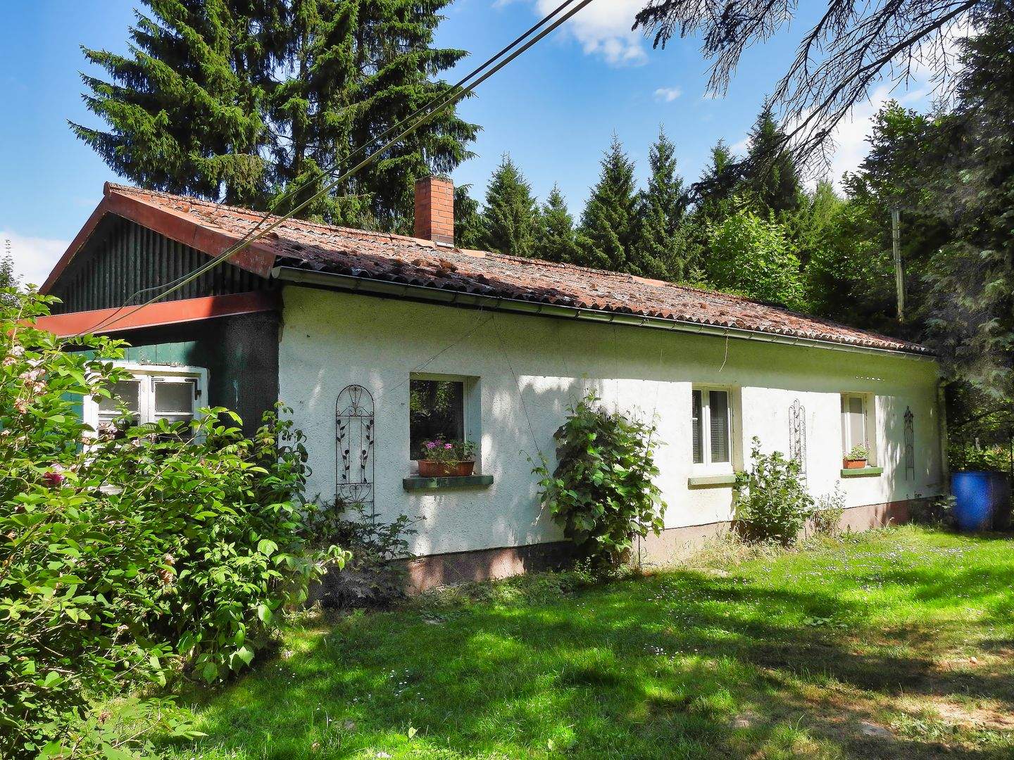 Bild 19