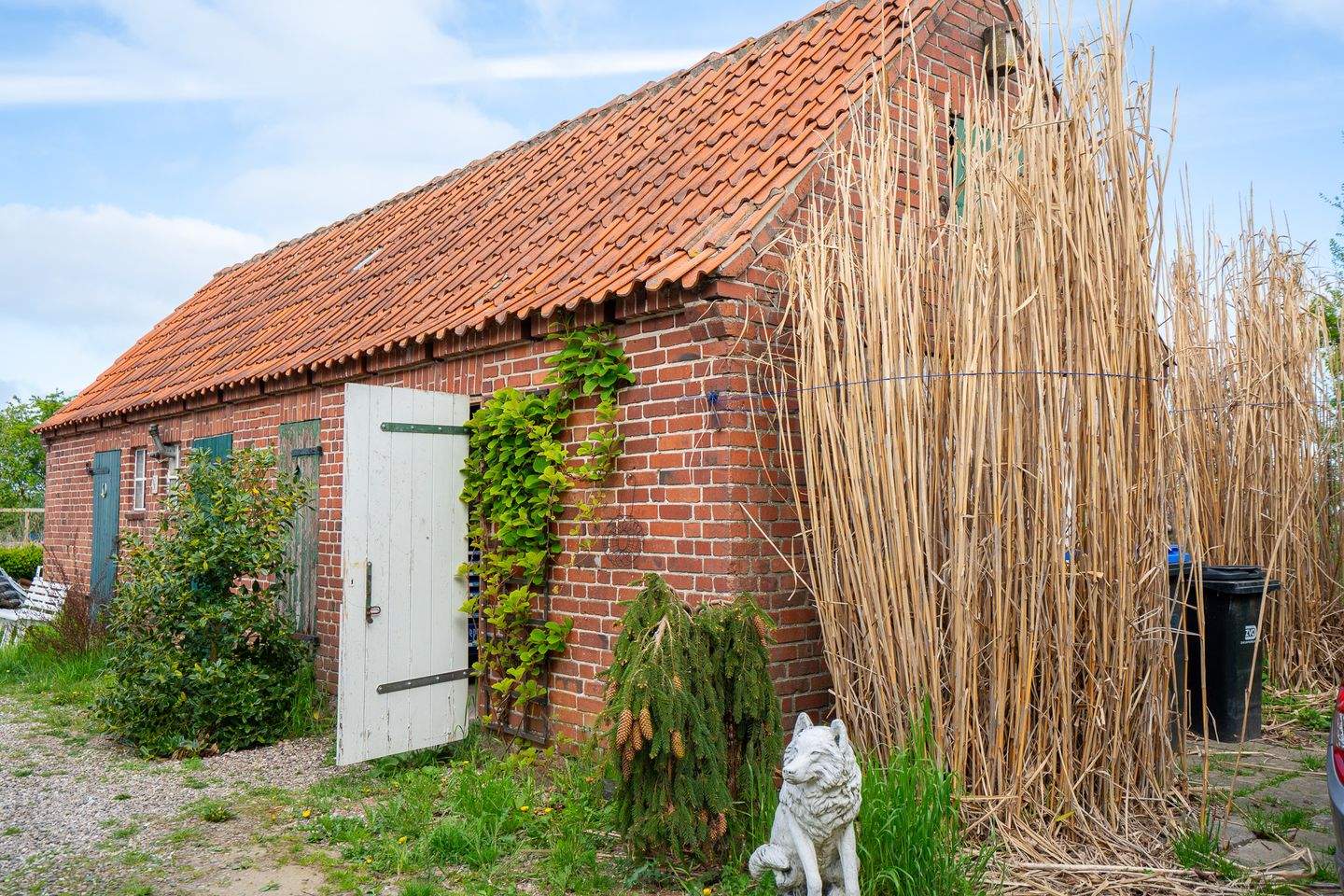 Bild 9