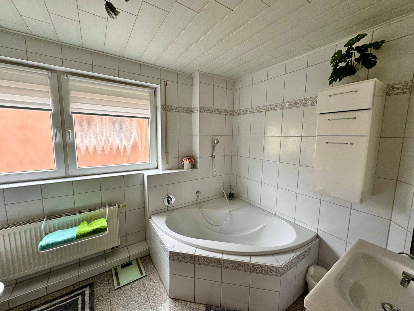 Bild 15