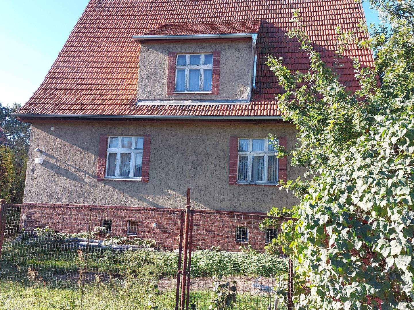Bild 7