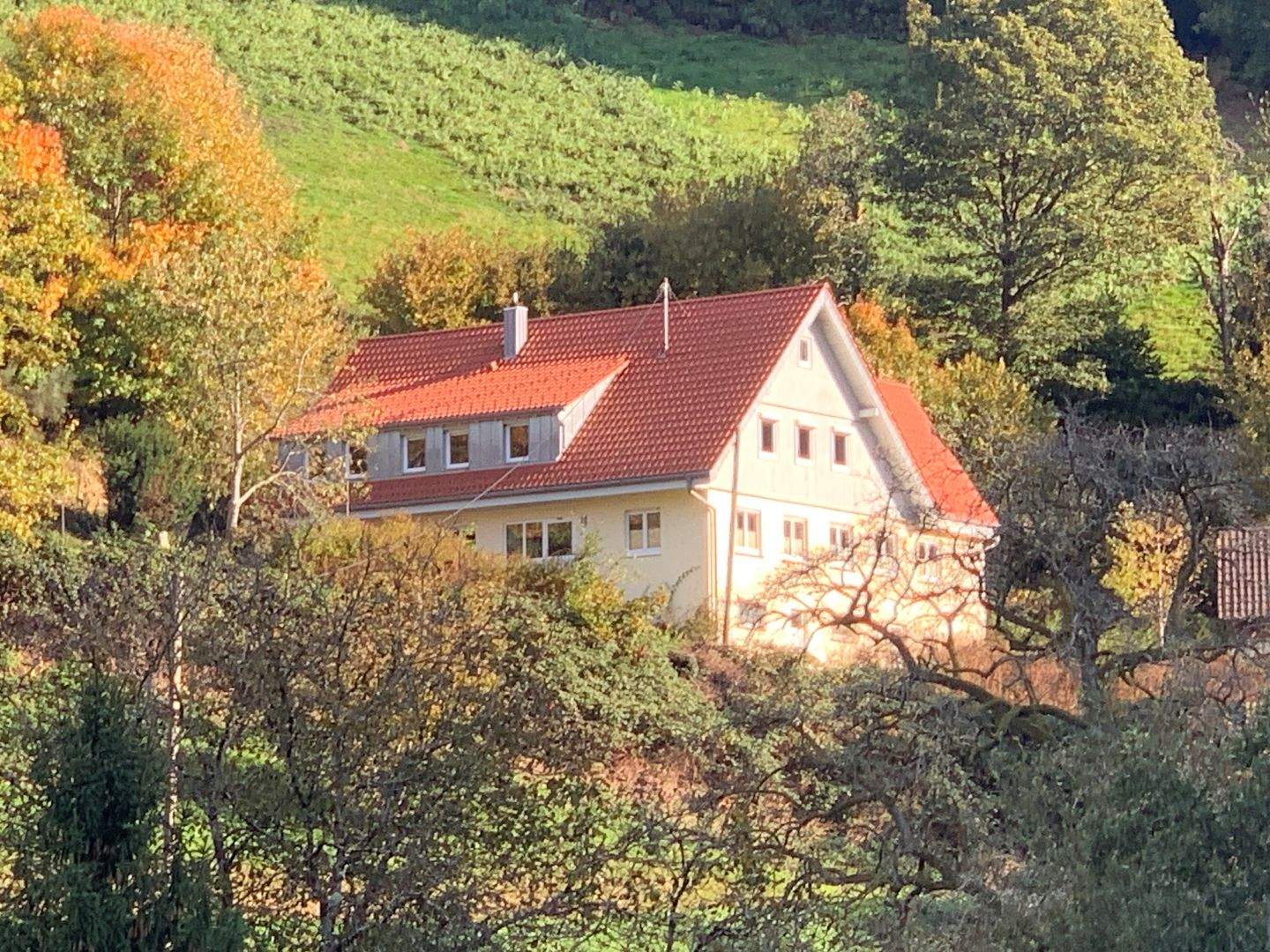 Bild 5