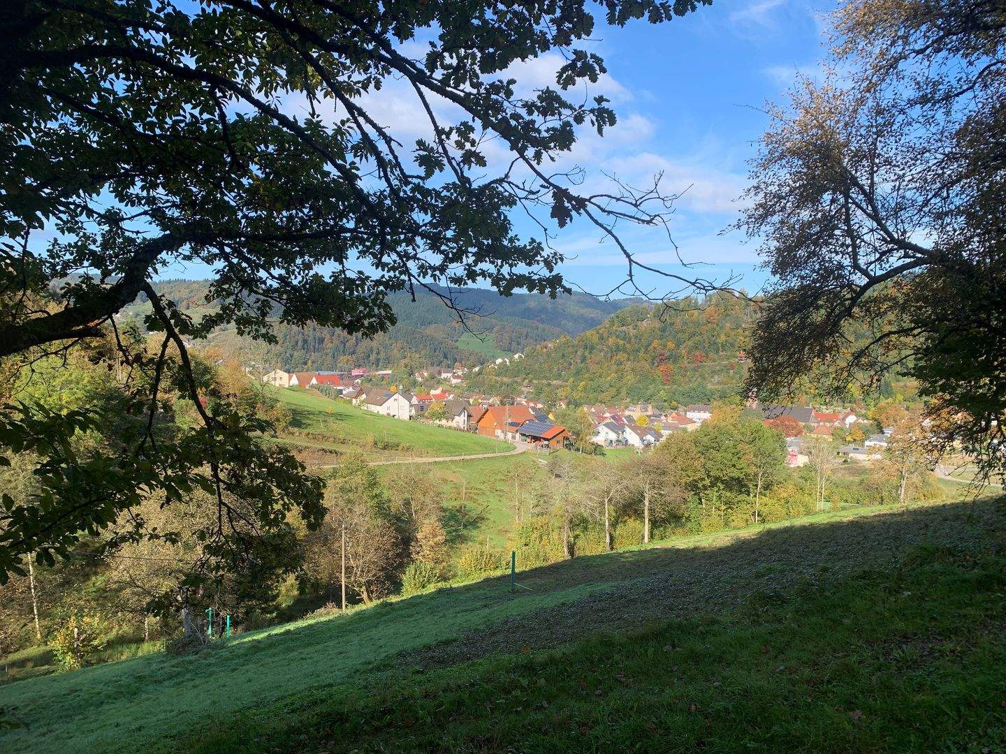 Bild 7