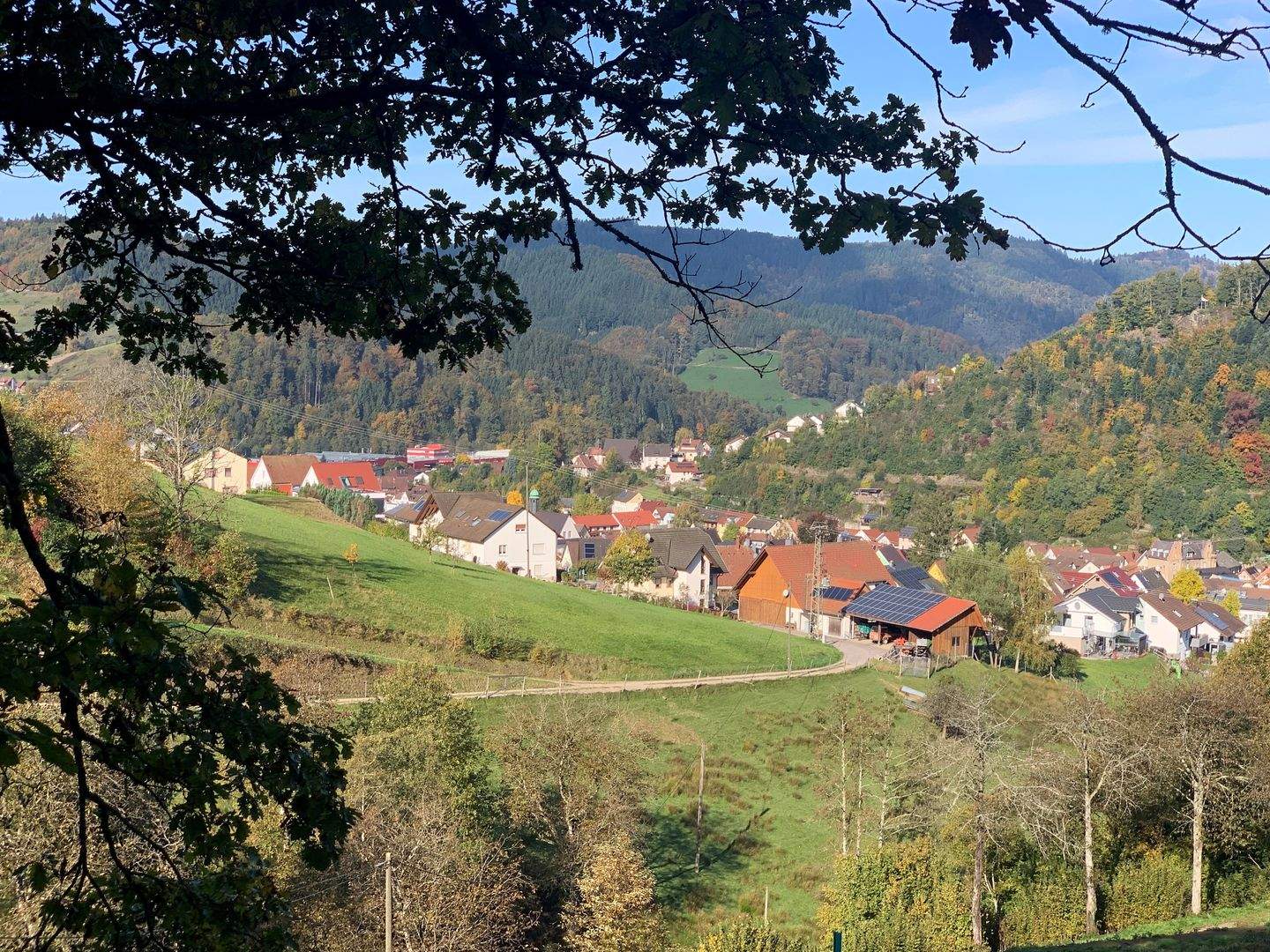Bild 8