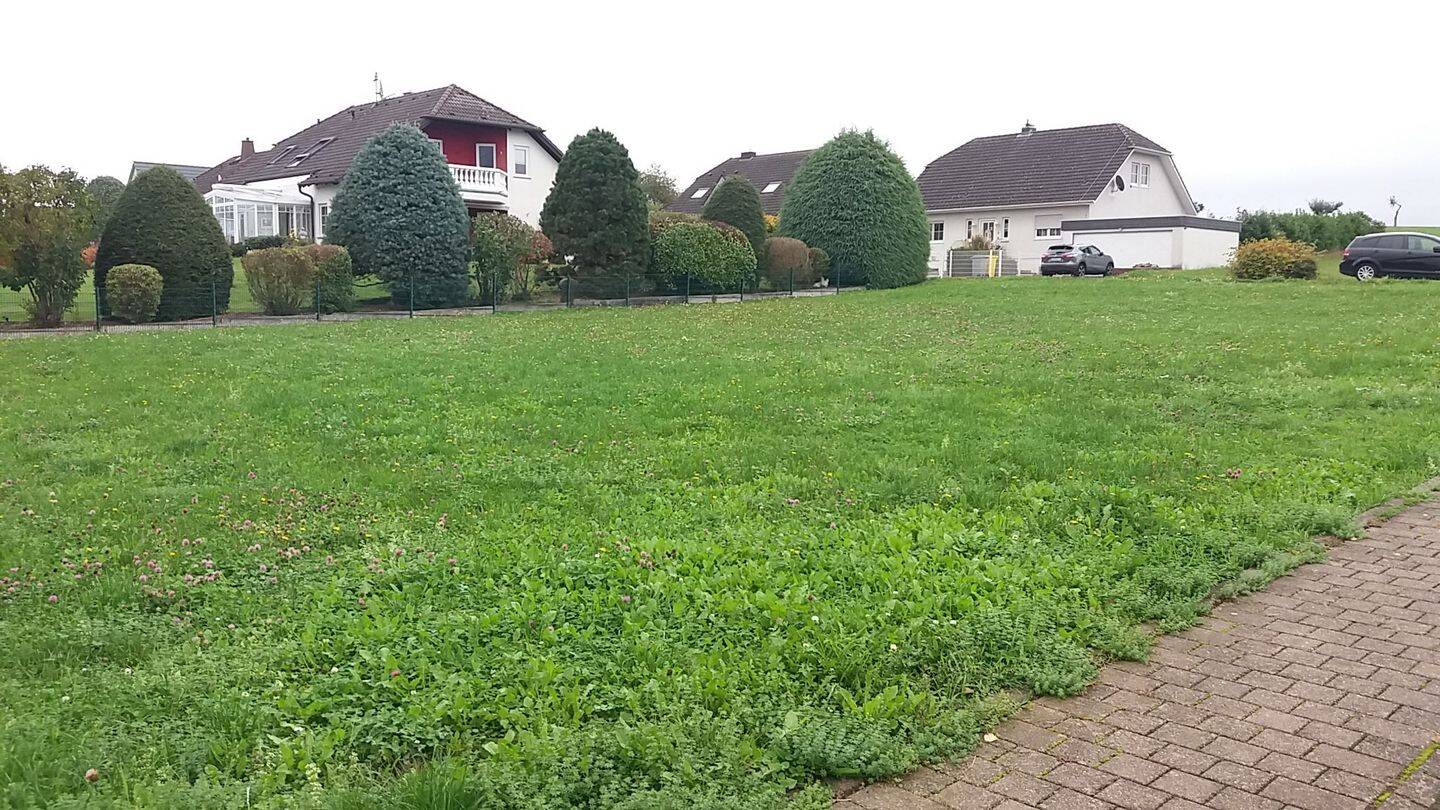 Bild 7