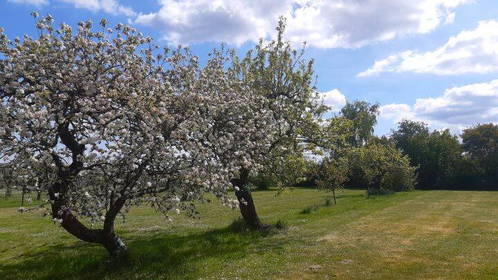 Bild 8