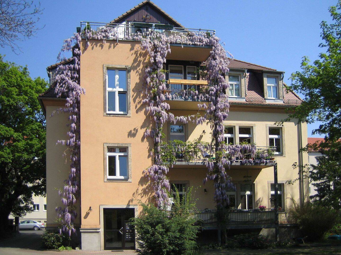 Bild 7