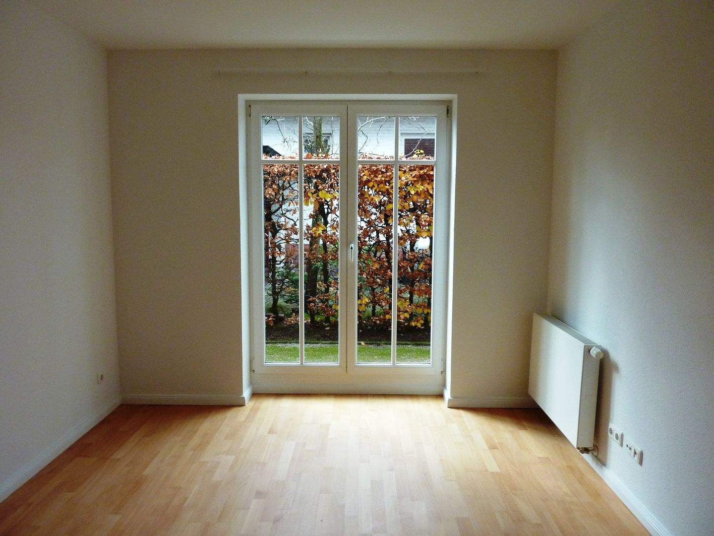 Bild 11