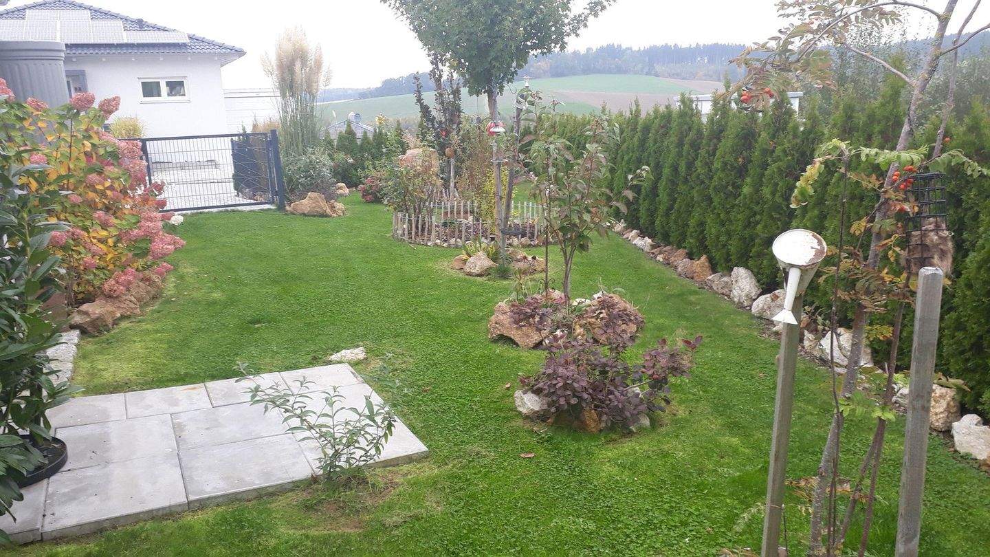Bild 4