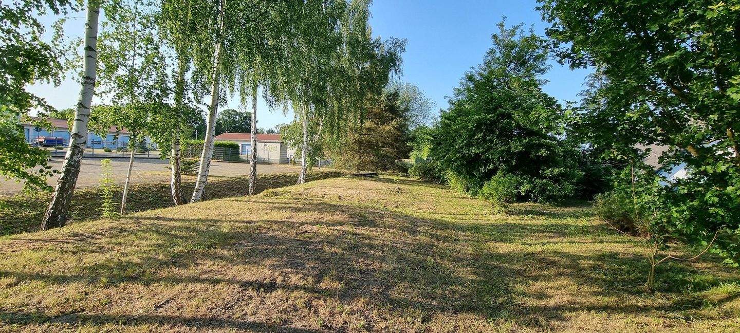 Bild 9