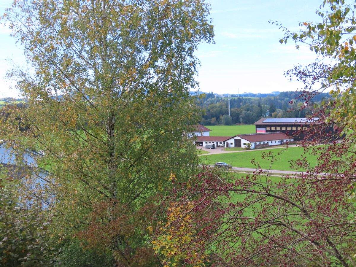 Bild 7
