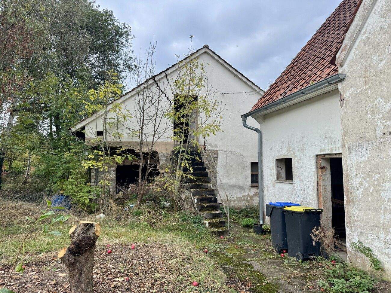 Bild 9