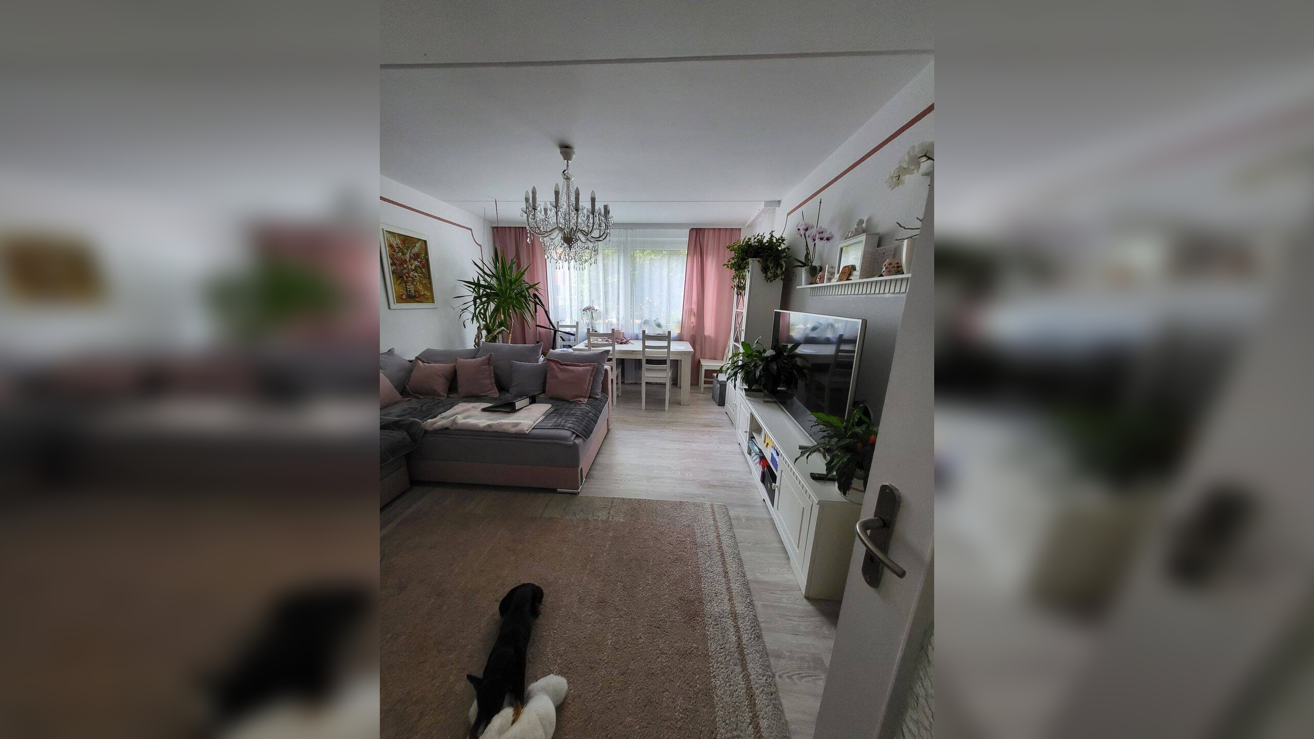 Bild 8