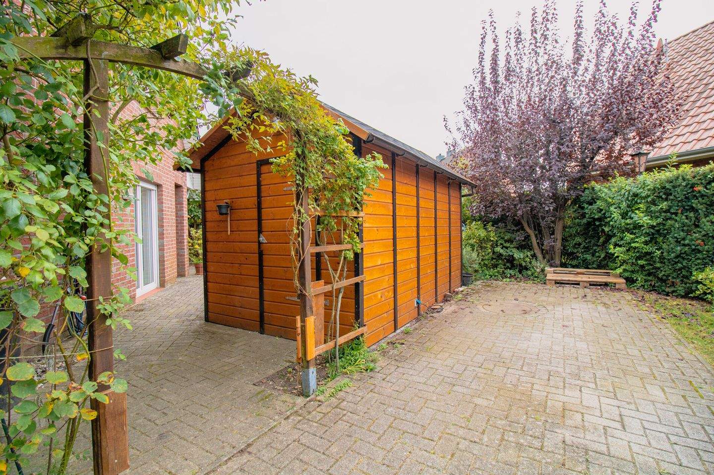 Bild 6