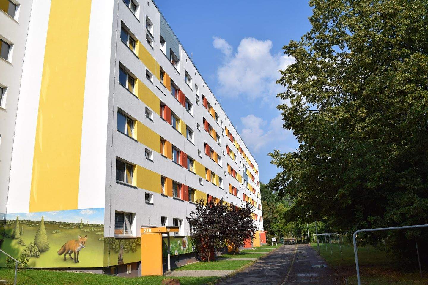 Bild 5