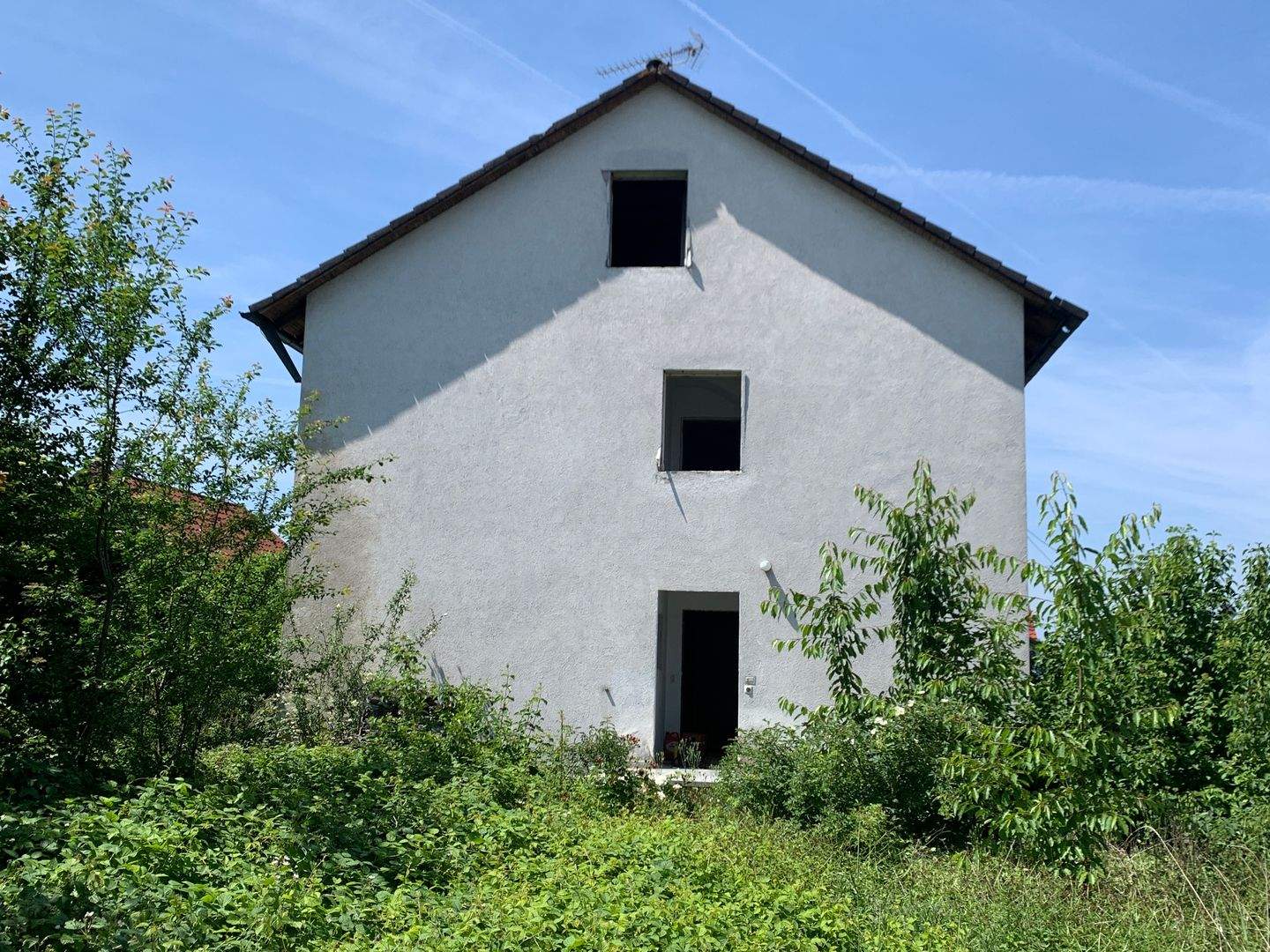 Bild 4