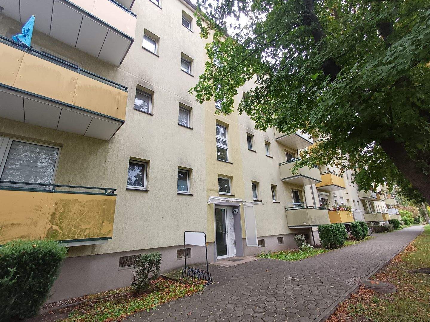 Bild 4