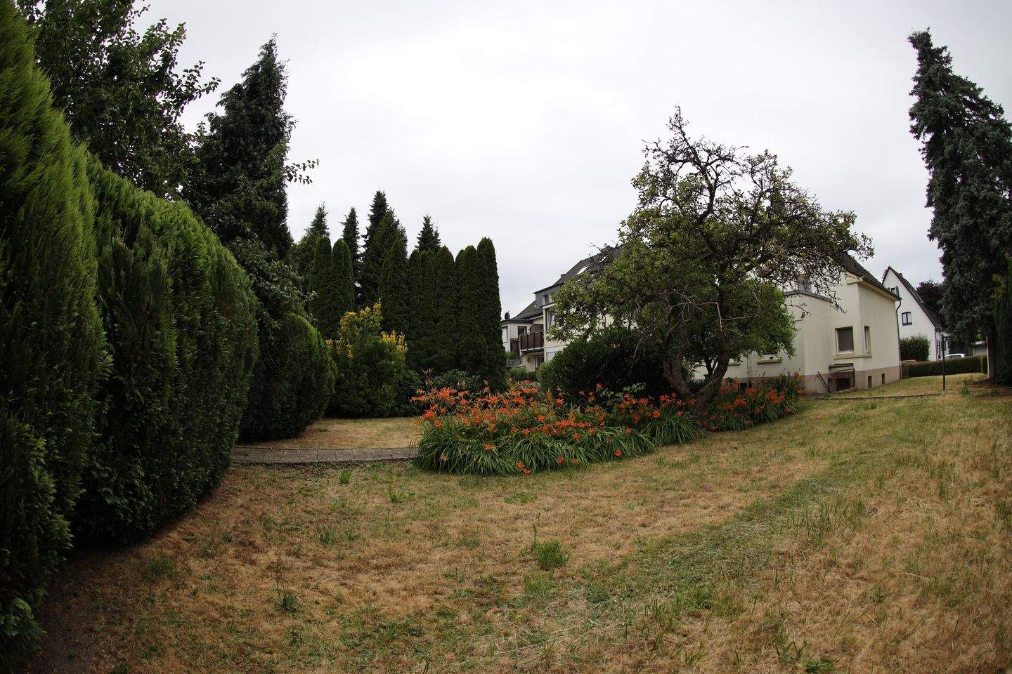 Bild 7
