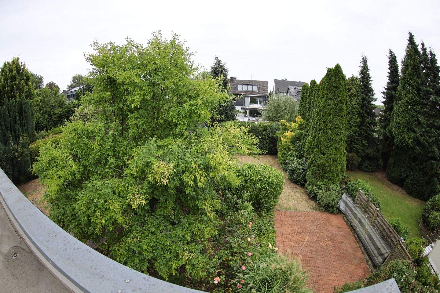 Bild 8